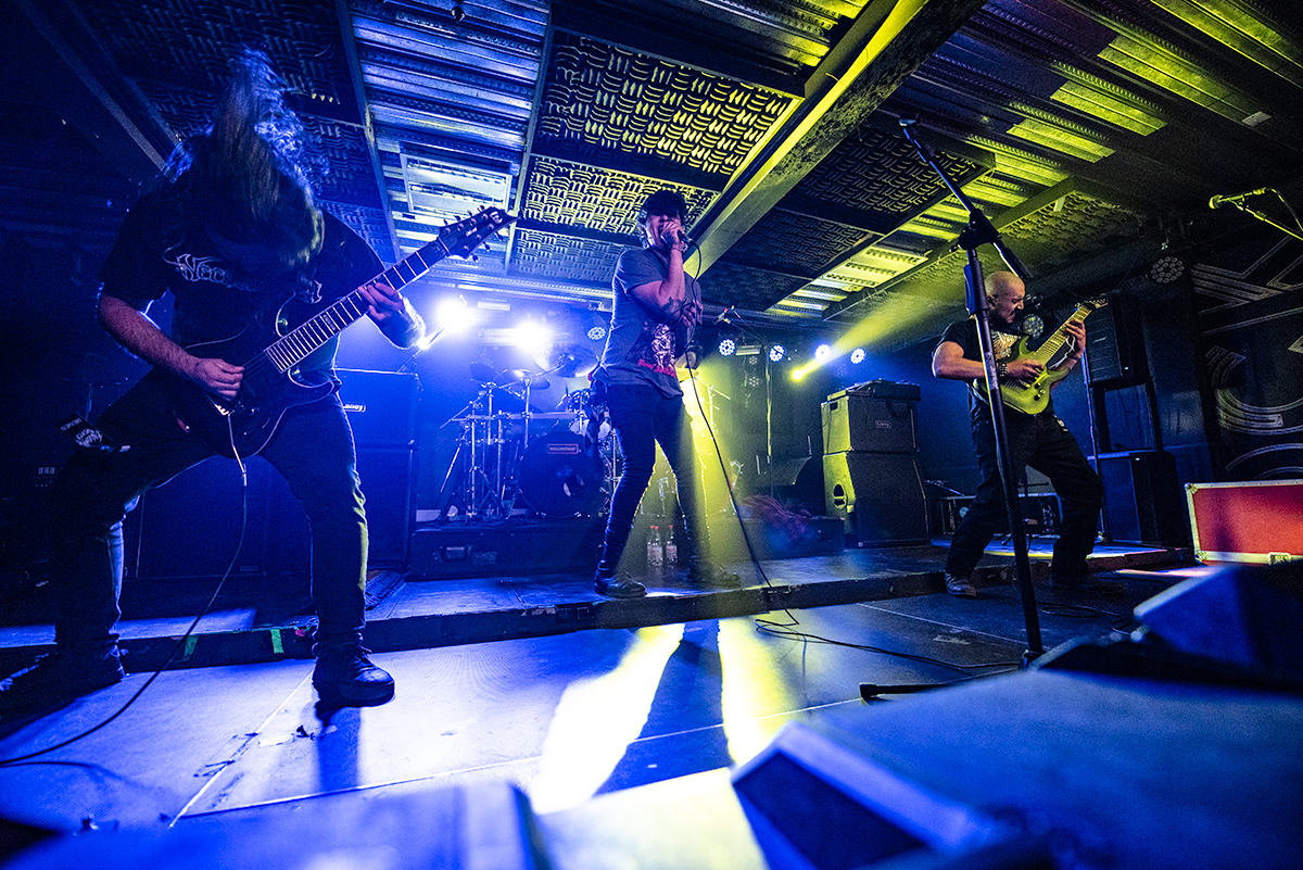 Bulldozer - 40 Years of Wrath